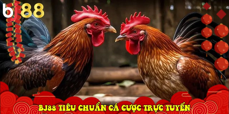 BJ88 ⭐️ Link Vào BJ88.Com Đá Gà Thomo, Casino Uy Tín 2026 26 BJ88 xác lập tiêu chuẩn cá cược trực tuyến